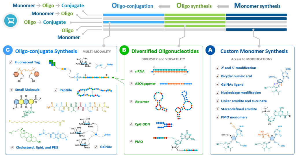 Oligonucleotide synthesis, custom oligo conjugation, monomers, siRNA, GalNAc, nucleic acids, bicyclic