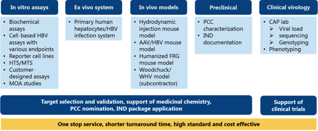 infectious disease services, including AAV/HBV models, humanized FRG model, cell-based HBV assays