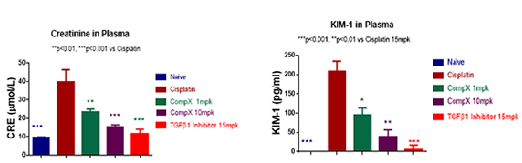 Cisplatin-induced acute kidney injury models; creatine levels and KIM-1 