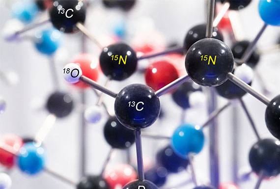 non-radioactive isotopic labeling chemistry with 2H, 13C and 15N