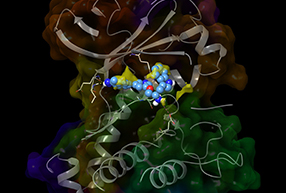 Structure and ligand-based Drug Design, virtual screening, CADD, computer aided drug design
