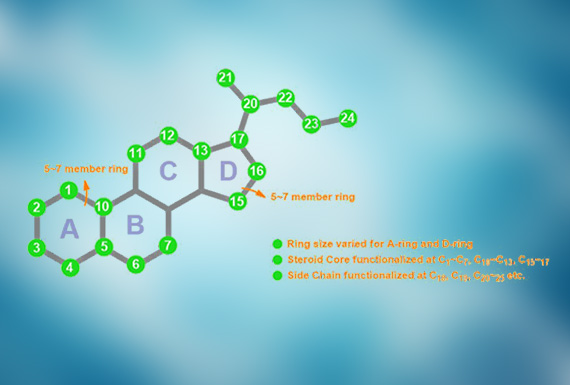 Steroid chemistry platform, chiral center, scale-up capabilities 