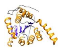 DNA-Modifying Proteins, metabolic enzymes, proteases, heat shock proteins, nuclear receptors