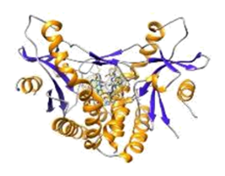 Proteins Associated with Rare Diseases, structural biology, structure-based drug design, NMR, co-expression