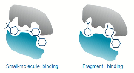 Small pockets on protein surface, unique binding profiles, FBDD, fragment screening PPI 