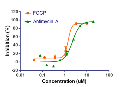 Mitochondrial membrane potential assay using HepG2 cells, FCCP, antimycin