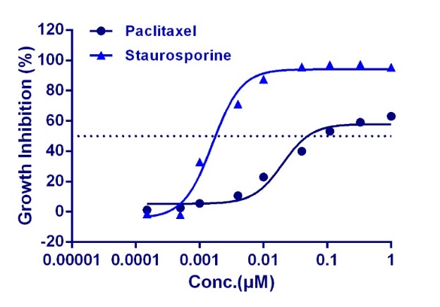 Nephrotoxicity assay using HK-2 cells and paclitaxel, staurosporine controls, paclitaxel 