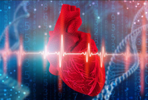 Cardiovascular disease models, stroke, cardiomyopathy, thrombosis, vascular, hypertension 