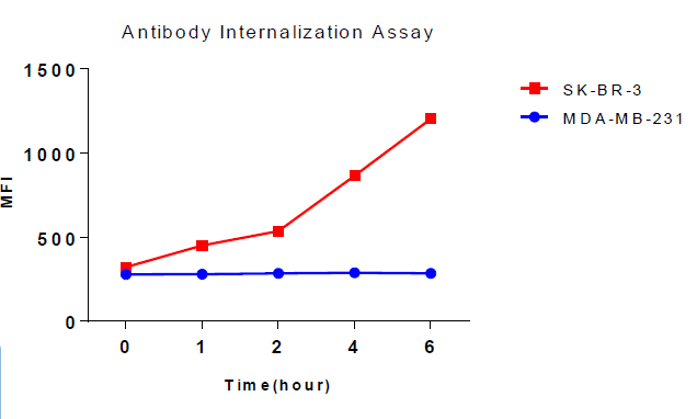 ADC - Antibody Internalization Assay