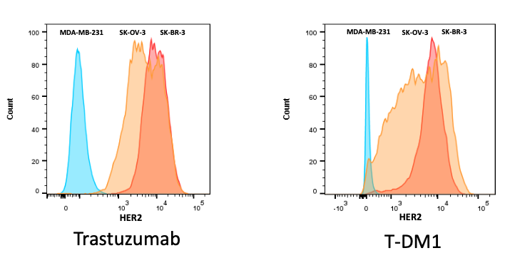 Evaluation of the efficacy of ADC in vitro and in vivo - WuXi Biology