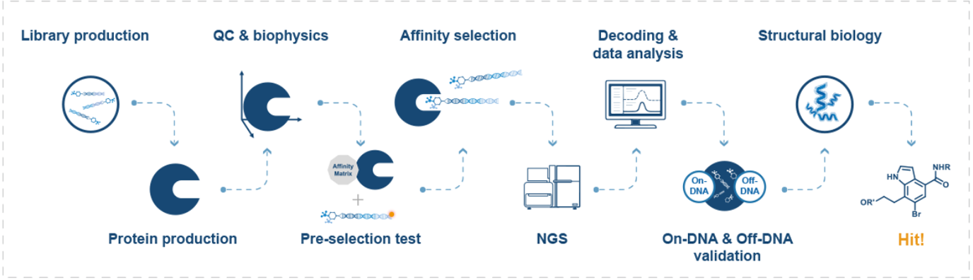 DNA-Encoded Library (DEL) - WuXi Biology