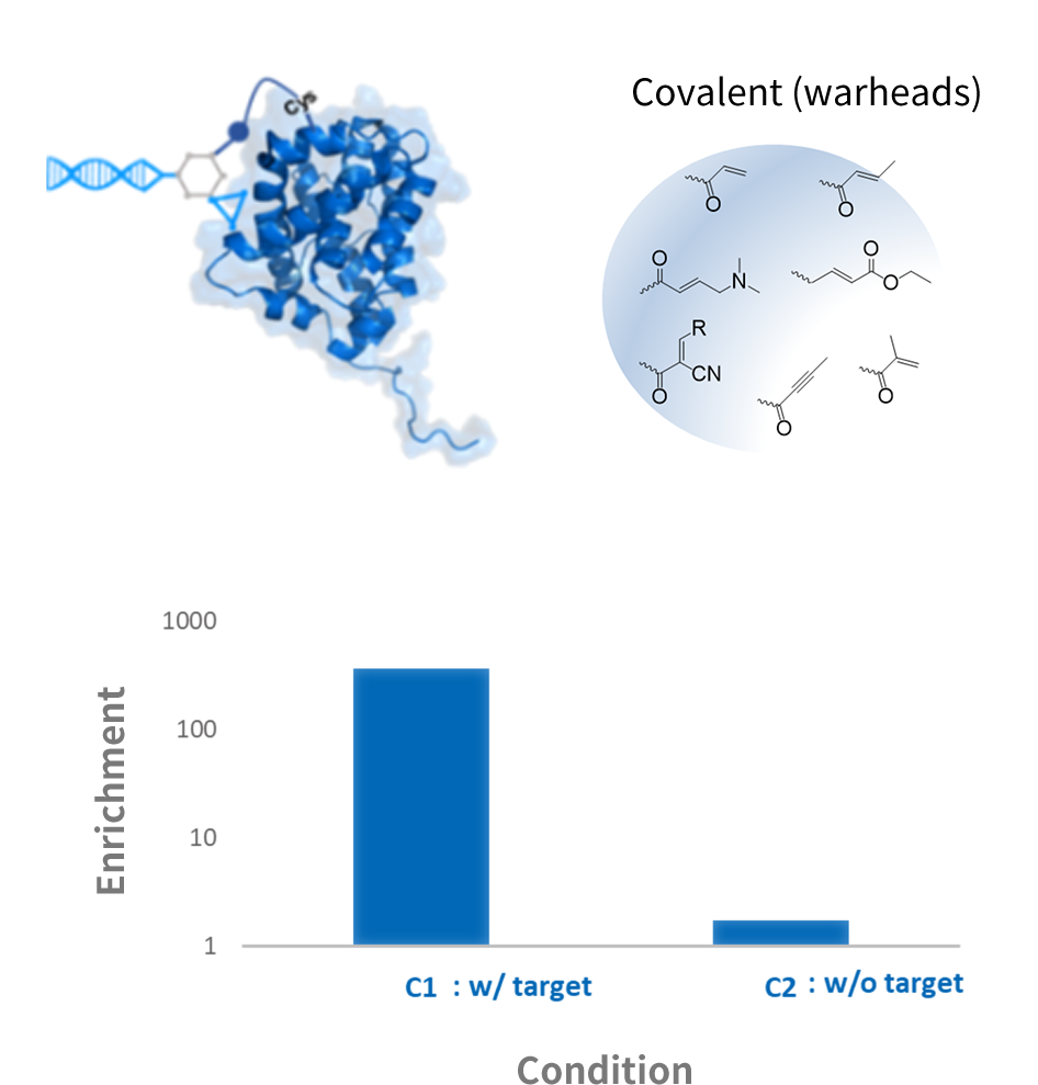 irreversible covalent screening, electrophilic warheads