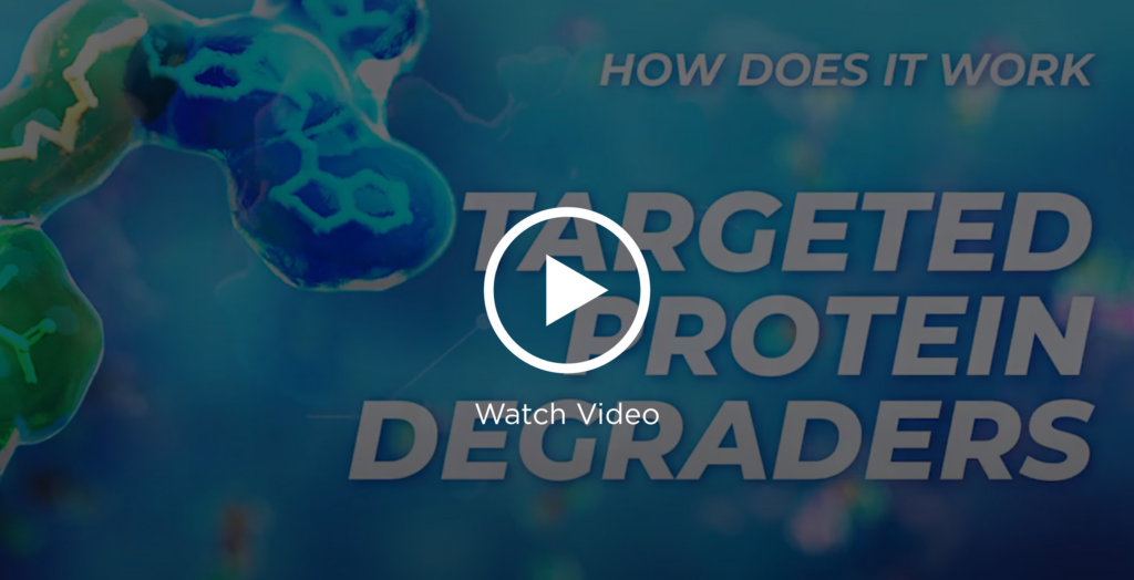 targeted protein degraders and degradation, PROTAC, bifunctional molecules, molecular glues
