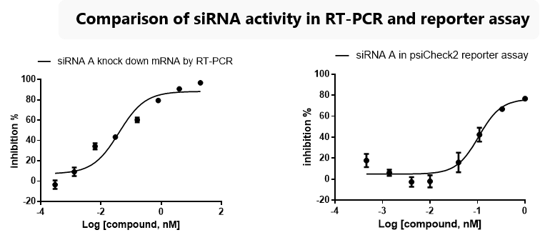 siRNA activity in RT-PCR reporter assay, KD