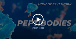Peptibodies, peptibody, peptide-Fc fusion molecules