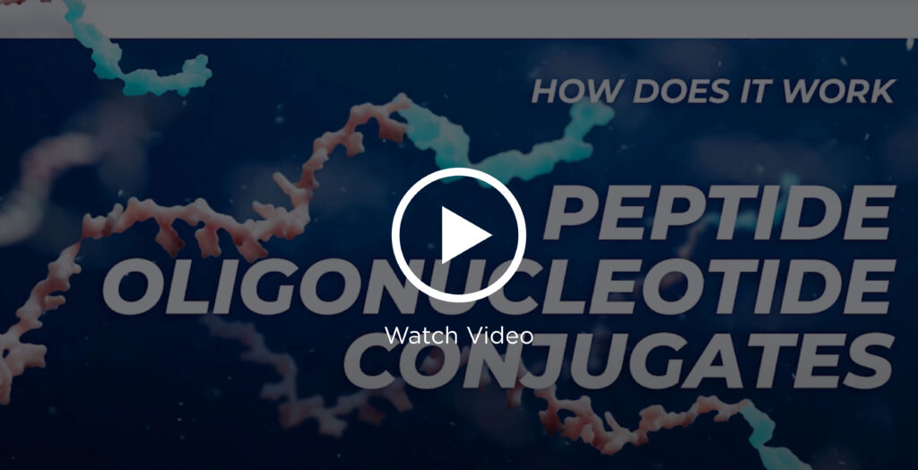 Peptide Oligonucleotide Conjugates