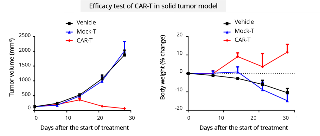 chimeric antigen receptor, CAR-T, efficacy in vivo testing, PDX, CDX, syngeneic, PBMC, HSC models