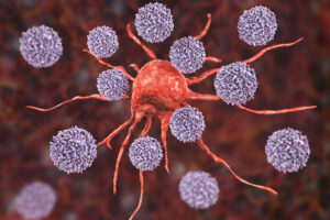 T cells, cancer cell