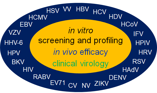 Virology platform, RSV, COVID, HCoV, Influenza, HBV, CMV