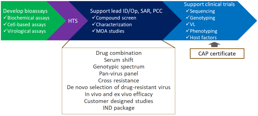 virology, antiviral, serum shift, drug combination, pan-virus panel, COVID, RSV, HBV, CMV, IFV, SARS-CoV-2