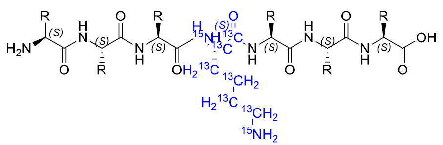 isotope, labeled peptide