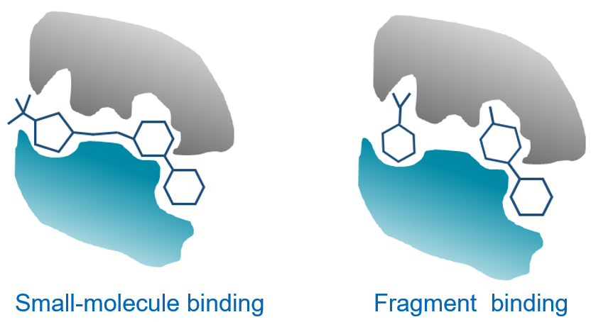 Fragment-based library screening for hit ID and FBDD, NMR, MS, DSF, nano-DSF, MST, TRIC, biophysical