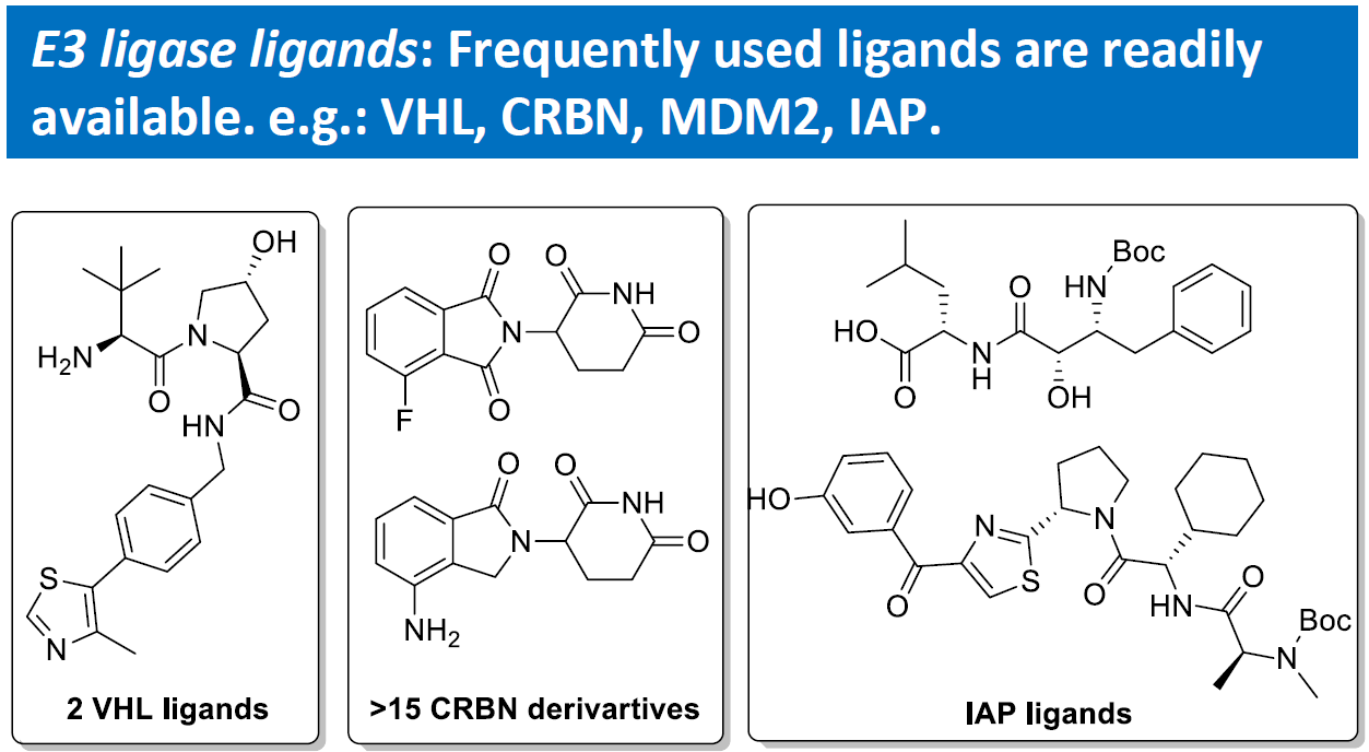 E3 ligase ligands