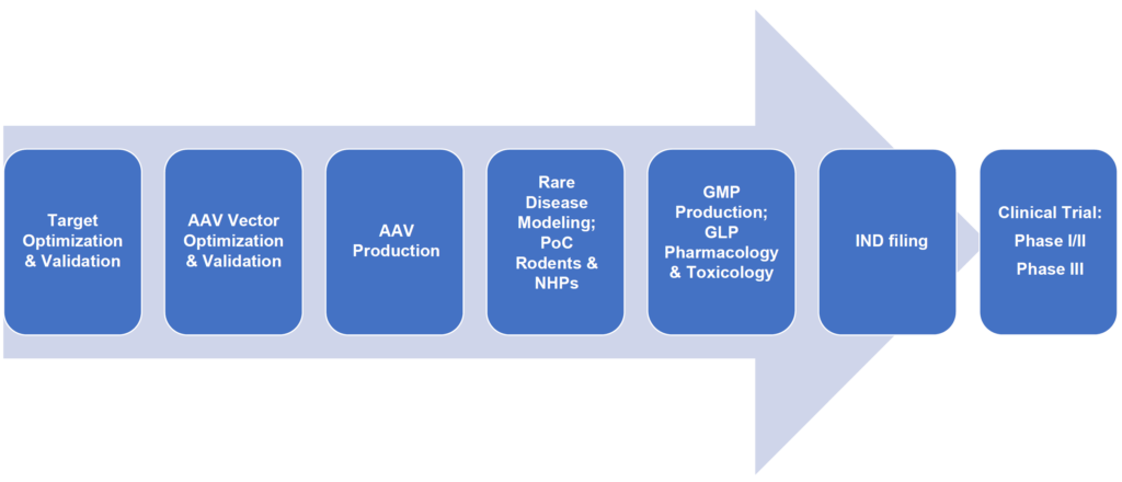 AAV viral vector platform overview, rare diseases