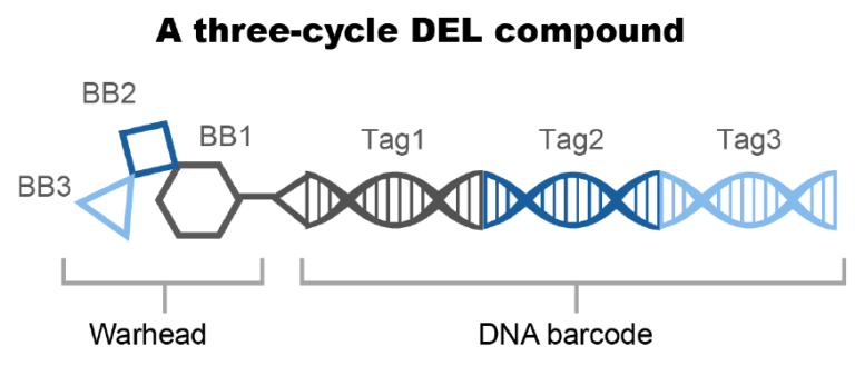 DNA-Encoded Libraries (DEL) - WuXi Biology