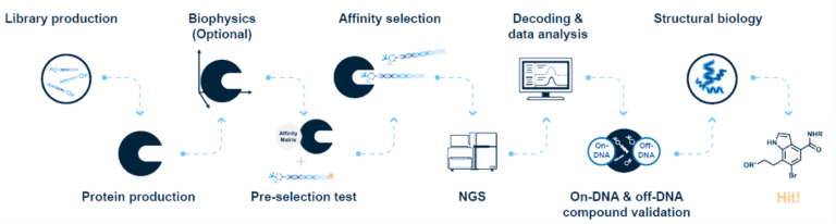 DNA-Encoded Libraries (DEL) - WuXi Biology