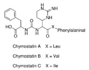 protease assay, cathepsin, chymostatin, enzymatic