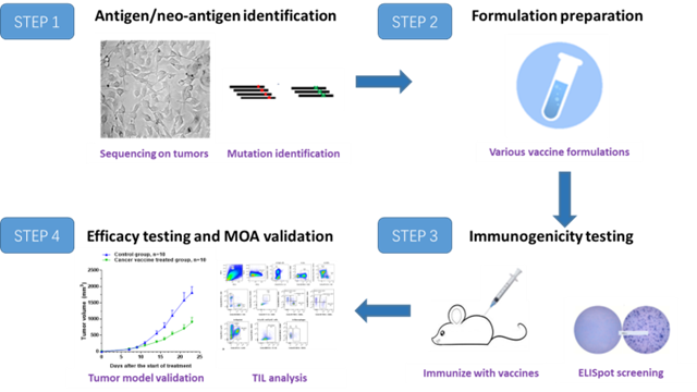 Progress and Challenges in Tumor Vaccine Development - WuXi Biology