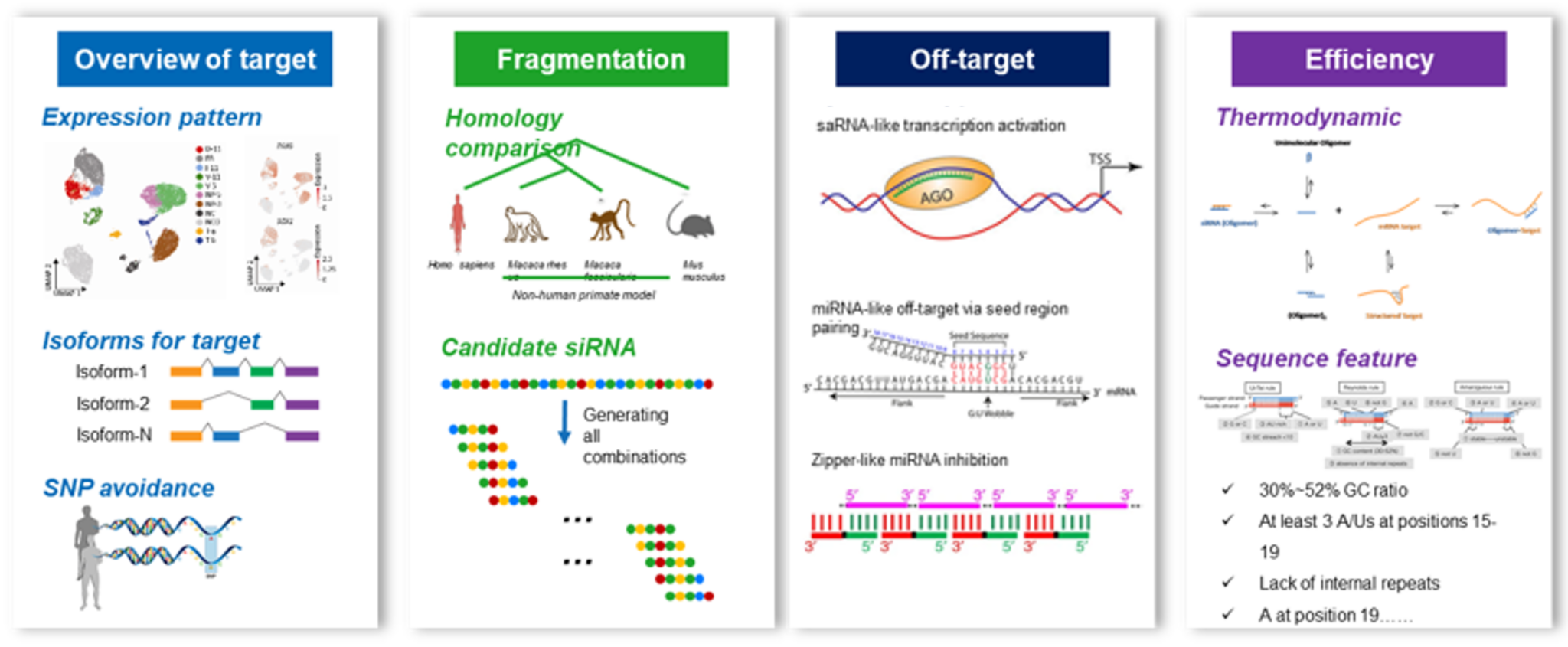 Advances and Biological Evaluation of Oligonucleotide Drugs - WuXi Biology