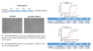 drug resistant animal models