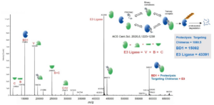 PROTAC ternary complex detection by native Mass Spectrometry
