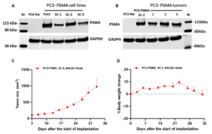 PSMA model data for article
