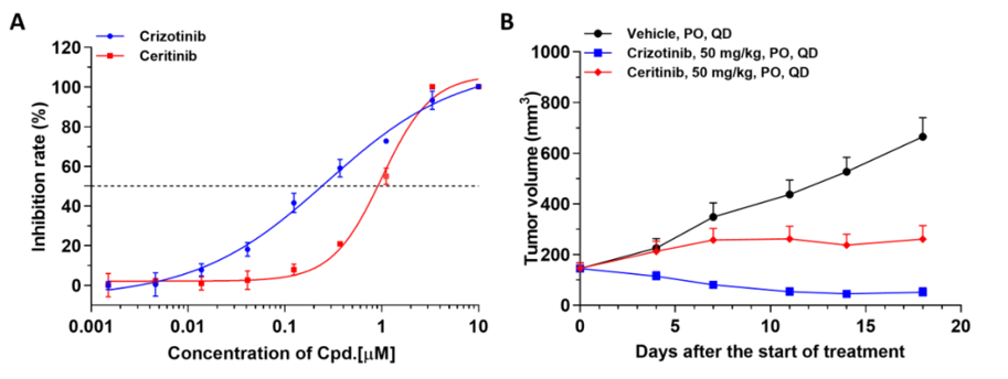 Expanded Role of PDX Models in Anticancer Drug Development - WuXi Biology