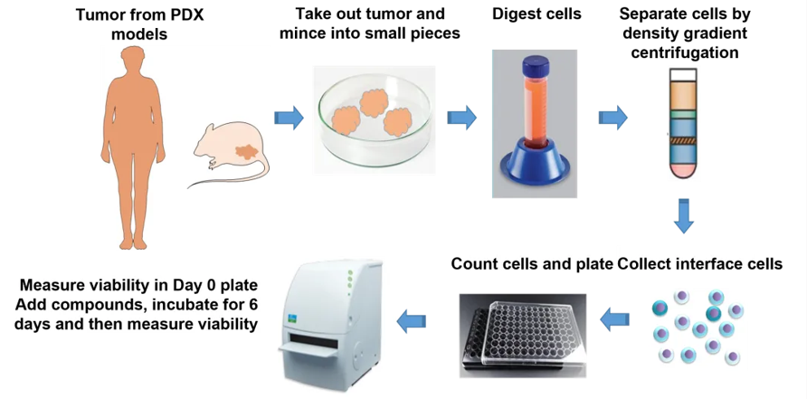 Expanded Role of PDX Models in Anticancer Drug Development - WuXi Biology