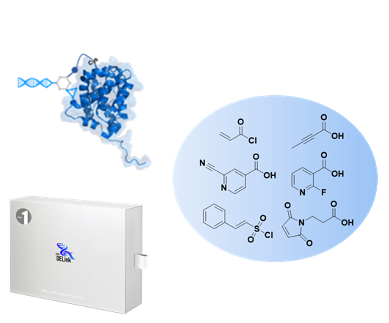 DEL page covalent column