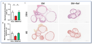 figure 3 blog endometriosis