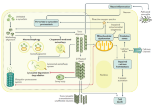 PD blog figure 1