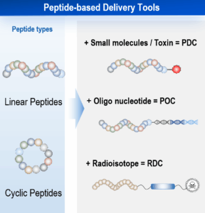 figure 2b blog on mRNA display peptide discovery