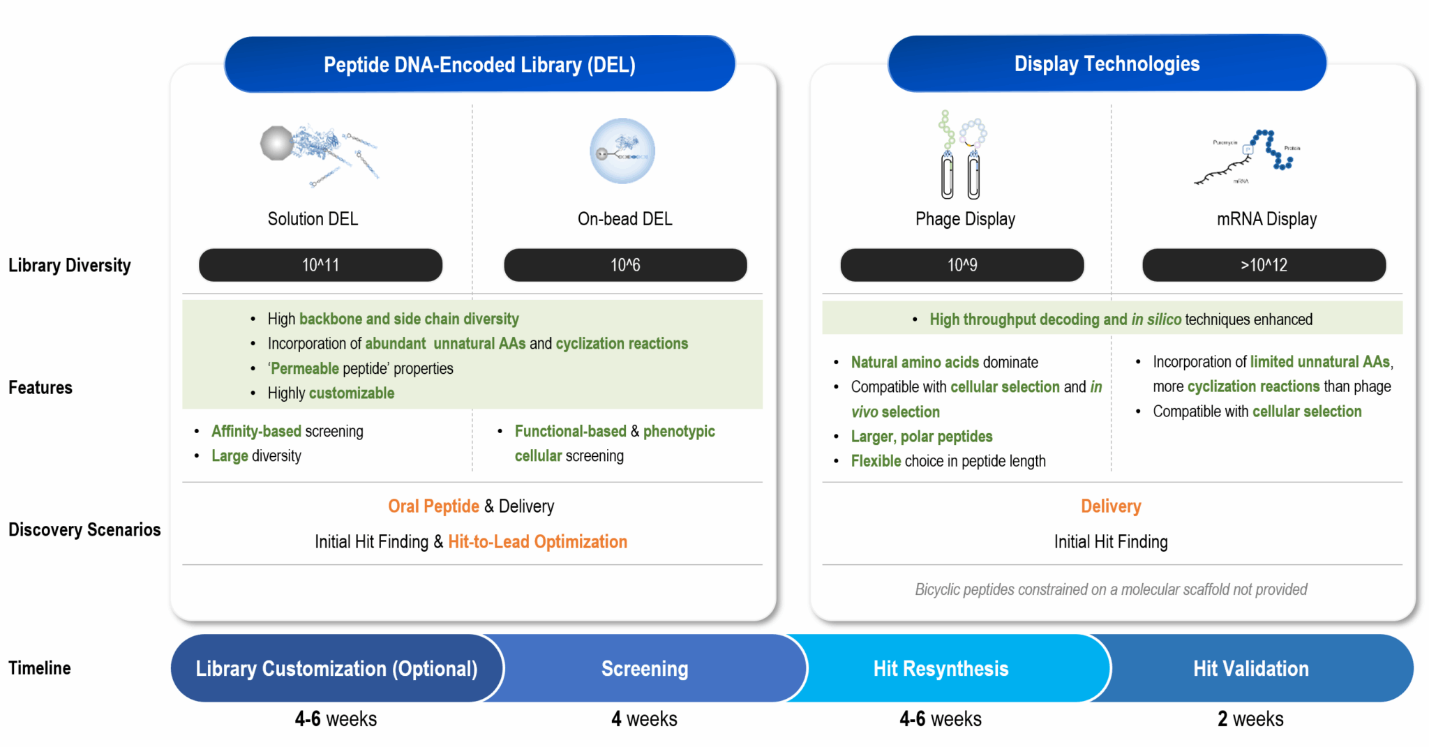 mRNA Display for Peptide Discovery