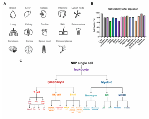 NHP Biomarker blog figure 1