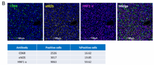 NHP Biomarker blog figure 2b