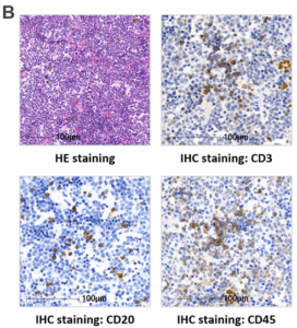 NHP Biomarker blog figure 4b