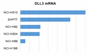 figure 1 left DLL blog