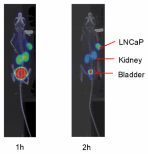 Figure 4_Blog_RDC Article for Website 