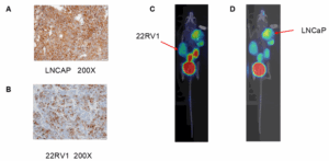 Figure 5_Blog_RDC Article for Website 