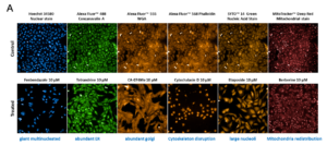 Figure-4A_blog_Target-Discovery_based-on-January-2026-webinar-with-GEN